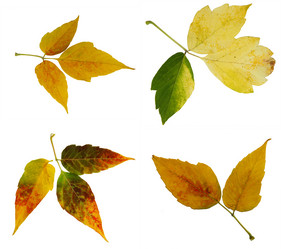 Similar image 21047252