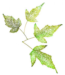 Similar image 21047256