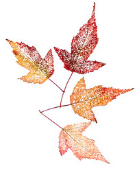 Similar image 21047262