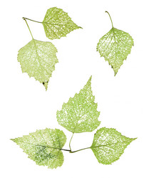 Similar image 21047364