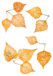 Similar image 21047366