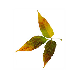 Similar image 21047368