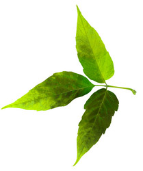 Similar image 21047370