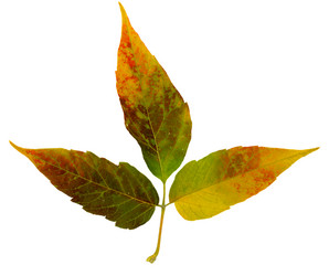 Similar image 21047389