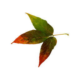 Similar image 21047391