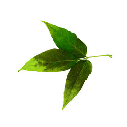 Similar image 21047393