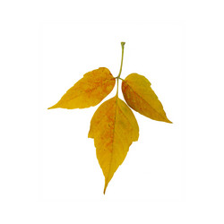 Similar image 21047395