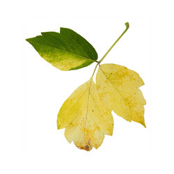 Similar image 21047399