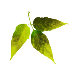 Similar image 21047400