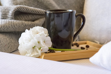 Similar image 21047441