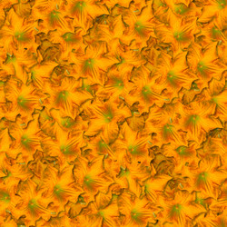 Similar image 21053956