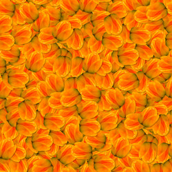 Similar image 21053958