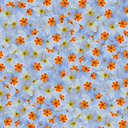 Similar image 21053959