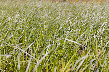 Similar image 21053965