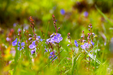 Similar image 21053966