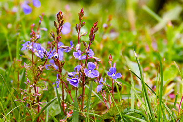 Similar image 21053967