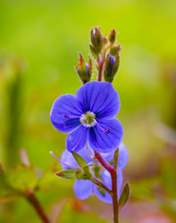 Similar image 21053968