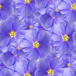 Similar image 21053974