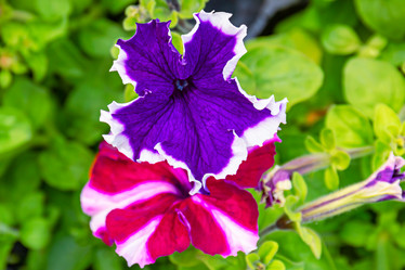 Similar image 21053975