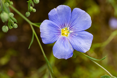 Similar image 21053976