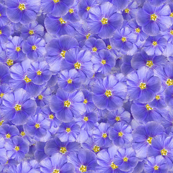 Similar image 21053977