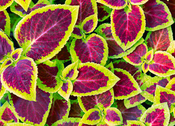 Similar image 21053979