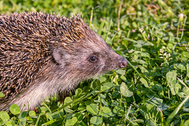 Similar image 21053980