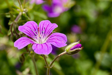 Similar image 21055432