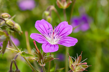 Similar image 21055433