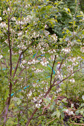 Similar image 21041598