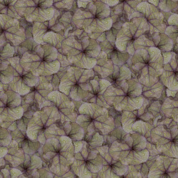 Similar image 21041600