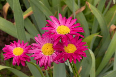 Similar image 21041601