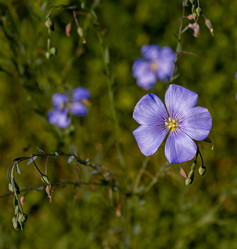 Similar image 21041602