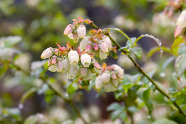 Similar image 21041603