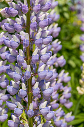 Similar image 21041604