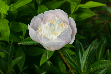 Similar image 21041605