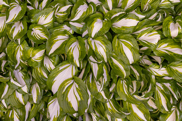 Similar image 21041606