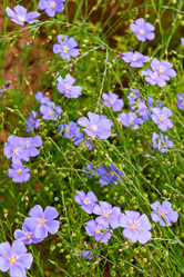 Similar image 21041607