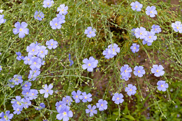 Similar image 21041608