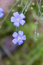 Similar image 21041609