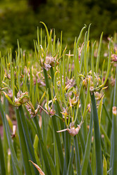 Similar image 21041610