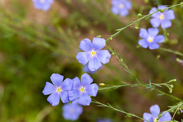 Similar image 21041611