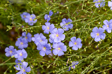 Similar image 21041612