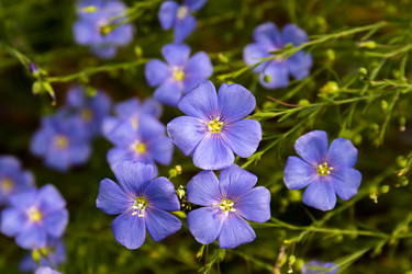 Similar image 21041613