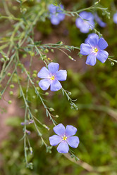 Similar image 21041614