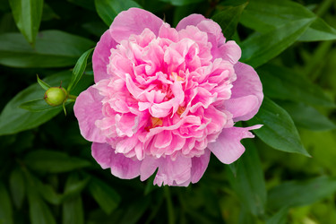 Similar image 21041615