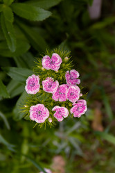 Similar image 21041616