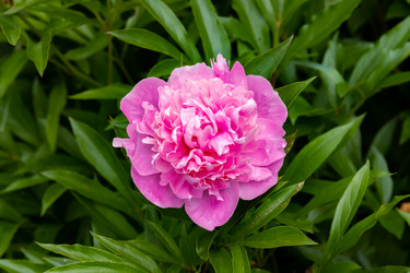 Similar image 21041617