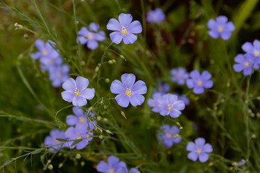 Similar image 21041618