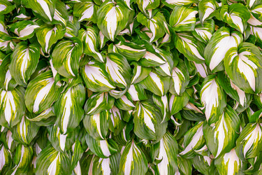 Similar image 21041619